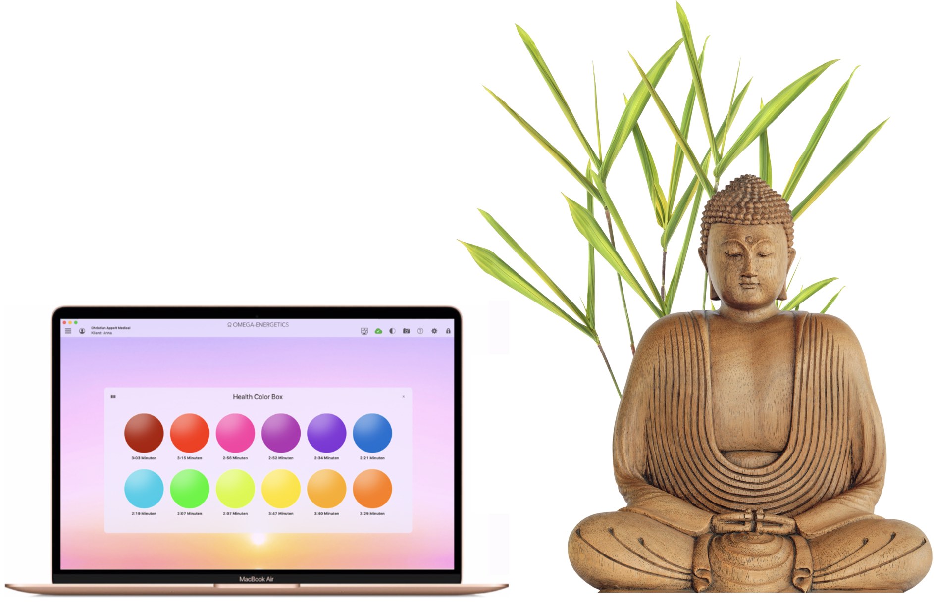 Erste Version von Omega-Energetics auf dem goldenen 12-Zoll-MacBook, 2013